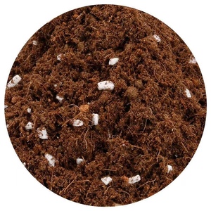 丹麦品氏进口泥炭土宝莲灯蝴蝶兰专用