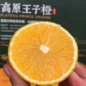高原王子橙云南玉溪冰糖橙青皮橙细腻无渣非褚橙纯甜当季水果