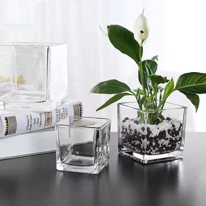 白掌水培花盆 正方形长方形玻璃花瓶透明绿萝睡莲水养花盆器皿容