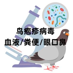百卫检测鸽子疱疹病毒检测,检体为血液/粪便/眼口鼻分泌物