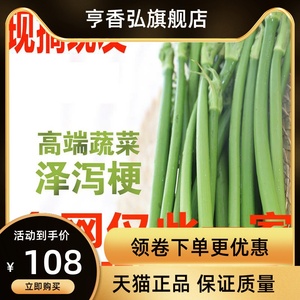 新鲜泽泻梗菜自种蔬菜江西广昌驿前特产青菜梗直销建瓯泽泻现摘