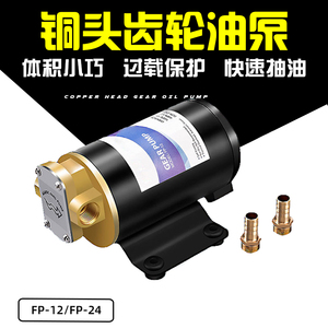 FP-12 12v24V直流齿轮油泵加油泵自吸泵柴油泵吸油泵微型抽油泵