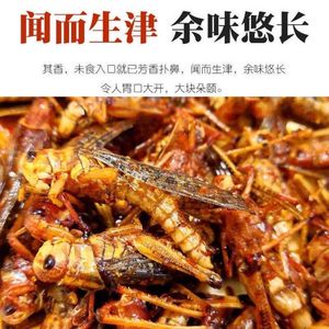 蚂蚱油炸即食正宗新鲜香辣蝗虫油炸蚂蚱山东特产即食昆虫蚱蜢大促