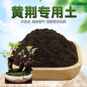 黄荆专用土黄荆营养土盆栽种植土壤种花泥土室内通用养花土有机肥