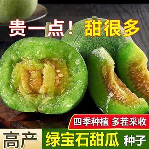 绿宝石甜瓜种子超甜薄皮香瓜冰糖春季四季脆瓜高青皮产香瓜籽