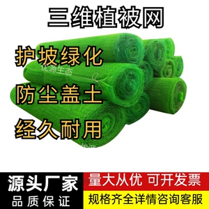 三维植被网护坡绿化植草网土工网护坡网垫园林公路种草三维网防护