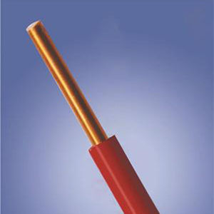 浙江万马电线BV1.52.54610平方单芯硬线国标铜芯足米BV1.5红色10|