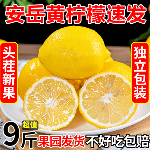 四川安岳黄柠檬9斤新鲜水果奶茶店专用皮薄一级香水甜柠檬无籽青