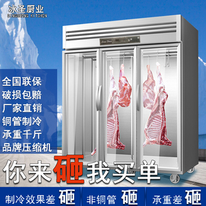 挂肉柜商用冷藏柜鲜肉保鲜冷鲜肉排酸单双门展示熟成柜立式冷冻柜