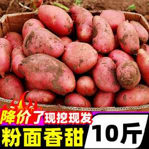 云南土豆10斤新鲜蔬菜小土豆马铃薯洋芋红皮土豆黄心土豆整箱包邮