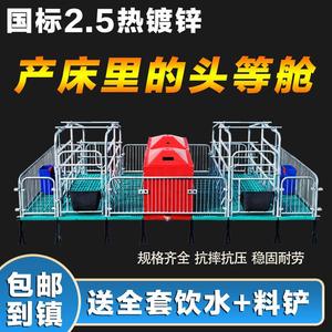 母猪产床保育一体两用含定位栏猪用限位栏猪分娩床猪栏养猪场设备