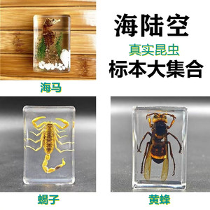 手工滴胶树脂昆虫书镇爆款透明琥珀真虫子标本旅游景区热卖工艺品