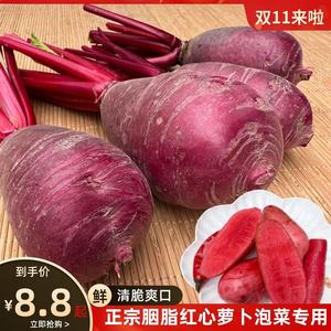 正宗四川紫玉非胭脂红萝卜9斤新鲜家用泡菜母水专用红皮红心萝卜