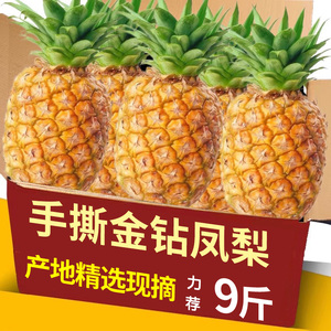 海南金钻凤梨新鲜水果当季应季正宗一级菠萝手撕10斤大果整箱特产