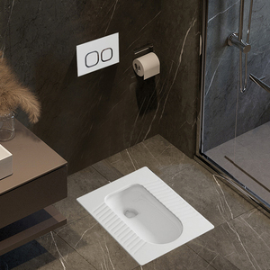 心海伽蓝日丰隐藏式水箱隐形暗藏暗装入墙嵌入式蹲便器蹲坑便池感