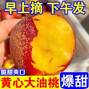 现货黄心油桃5斤桃子应季当季新鲜水果整箱黄肉超甜脆桃10包邮D
