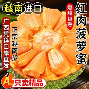 红肉菠萝蜜一整个越南进口红心菠萝蜜当季新鲜水果整箱包邮树上熟