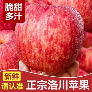 正宗陕西洛川苹果新鲜水果冰糖心应季一级孕妇红富士脆甜10斤包邮