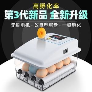 鸡蛋孵化器小型家用玄凤鹦鹉受精蛋专用家用全自动机小鸡孵蛋器箱