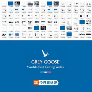 世界500强灰雁Grey Goose企业视觉VI识别手册pdf源文件设计素材