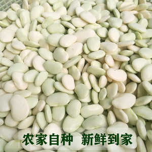 洋扁豆新鲜