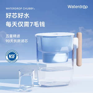 WATERDROP净水壶家用净水器自来水过滤水壶去水垢余氯美国NSF认证