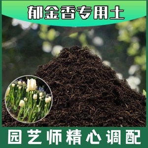 郁金香专用土腐殖土种花养花盆栽土郁金香营养土种植有机土壤肥料