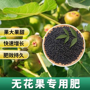 无花果专用肥无花果树肥料有机复合肥果树肥盆栽专用肥种植颗粒肥