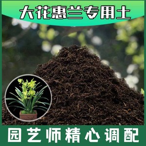 大花惠兰专用土腐殖土种花养花盆栽绿植土惠兰营养土种植有机土壤