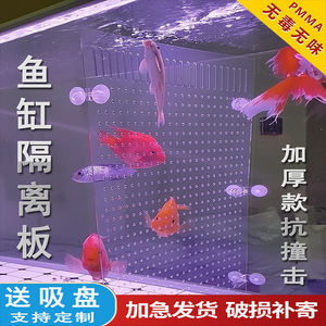 鱼缸隔离板定制透明压克力微孔网格斗鱼苗分离隔断挡板盖板水族箱