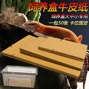 爬宠爬虫饲养盒牛皮纸加厚垫纸垫材昆虫蜘蛛人渣盒守宫蜥蜴饲养箱