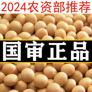 千斤豆黄豆种子国审非转基因黄豆种高产早熟抗病抗旱大豆种子大全