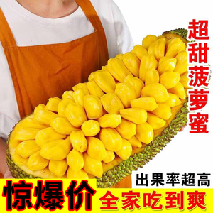 海南三亚新鲜菠萝蜜现摘现发一整个包邮新鲜红肉水果黄肉批发市场