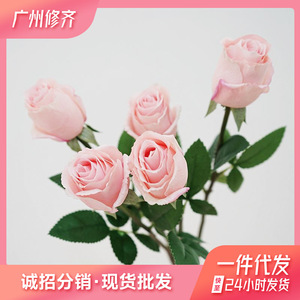 小白兔玫瑰高品质手感保湿玫瑰家居装饰插花摆件婚庆假花道具