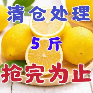 正宗四川安岳黄柠檬薄皮一级大果当季新鲜水果泡水整箱柠檬包邮
