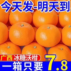 广西武鸣沃柑一级纯甜10斤新鲜水果柑橘砂糖橘子桔子当季整箱包邮