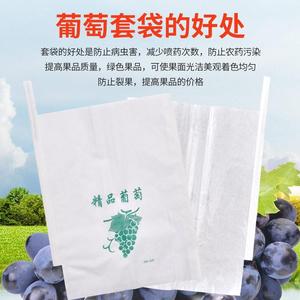 葡萄套袋专用袋半透明袋子保护包果袋透气水果防虫雨防鸟莲雾纸袋