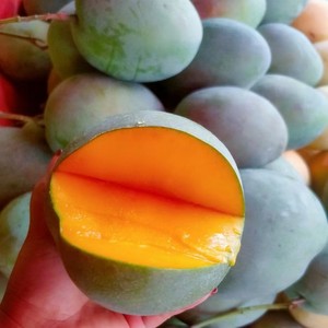 云南保山潞江坝凯特芒果当季新鲜水果整箱青皮芒大果纯甜10斤包邮