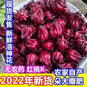 洛神花干货1斤鲜果果酱玫瑰茄广西红桃k鲜花泡酒果脯花茶果脯酵素