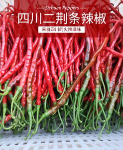 四川红辣椒新鲜红二荆条薄皮红线椒5斤 农家自种泡椒 剁椒酱 原料