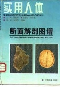 实用人体断面解剖图谱中国书籍出版社杨桂姣主编