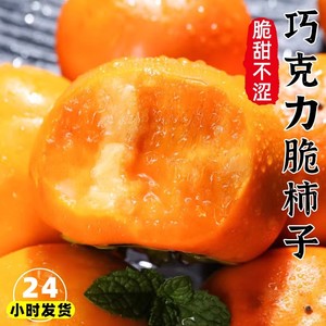 【顺丰包邮】巧克力脆柿子10斤新鲜现摘脆甜糖心火晶柿子当季水果