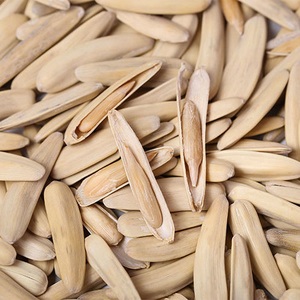 秋从小院来 牙签瓜子 新疆马牙白瓜子原味散装葵瓜籽特产炒货零食