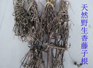 长汀野生香藤子根/满山香/风藤子 煲汤药膳草药草根汤   100g食用