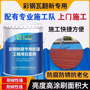 彩钢瓦翻新专用漆户外屋顶房盖刷漆改色防腐防锈免除锈金属漆