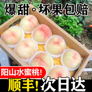 正宗无锡阳山水蜜桃新鲜桃子应当季水果整箱包邮时令白凤软桃孕妇