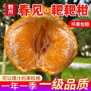 【果客】四川眉山·春见耙耙柑·5/9斤新鲜果粒橙子柑橘水果桔子
