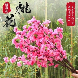 催旺桃花运专用桃花枝（布局专用，模仿无效）