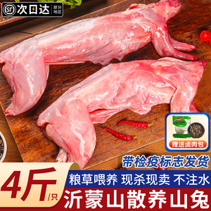 新鲜兔肉整只现杀冷冻兔子肉生鲜农家散养特大去头草兔肉商用批发