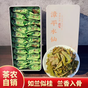 新茶漳平水仙茶高山乌龙茶浓香型清香型兰花香特级手工茶块礼盒装